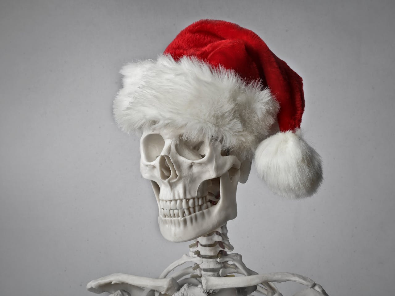 Funny skeleton wearing a Santa hat on a gray background, perfect for quirky holiday themes.